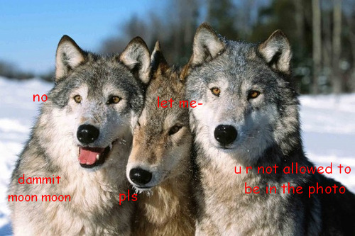 hey bitches