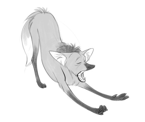 keeping with my trend of drawing goofy looking canid like creatures, here’s some maned wolves 