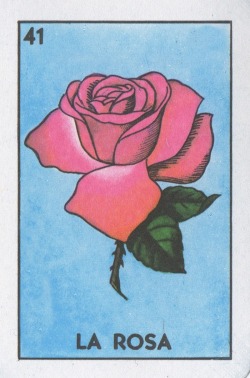 lonequixote:  La Rosa (The Rose)
