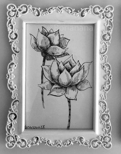 Ink drawings in frames for my shop!Avaliable: https://borianana.com/en/Boriana Savova / Borianana / 