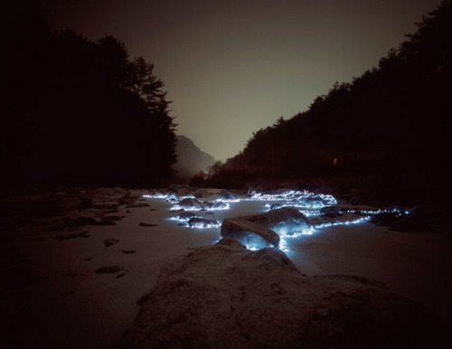 unicorn-meat-is-too-mainstream:  “Starry Night” by Lee Eunyeol Bhakta’s Weblog:  facebook  |  twitter  |  pinterest  | subscribe