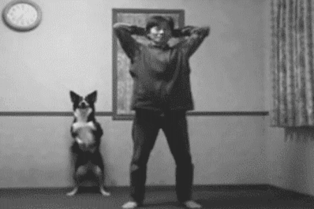 a-million-steps:  Squat it dawg 
