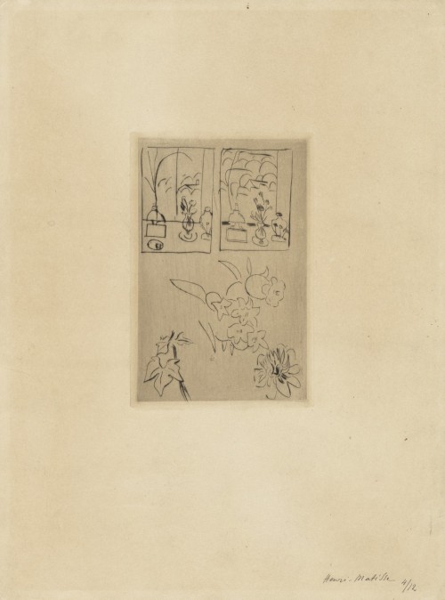 Bell Flower (Campanule), Henri Matisse, 1913, MoMA: Drawings and PrintsWilliam Kelly Simpson (in mem