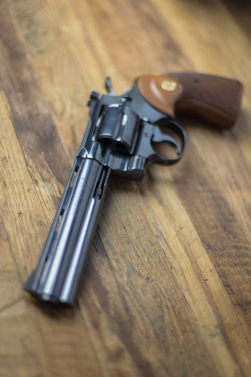 narphenal:  The Colt Python in .357 Magnum. adult photos