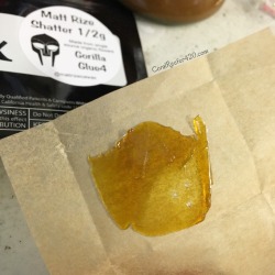 coralreefer420:  Gorilla Glue 4 & Girl