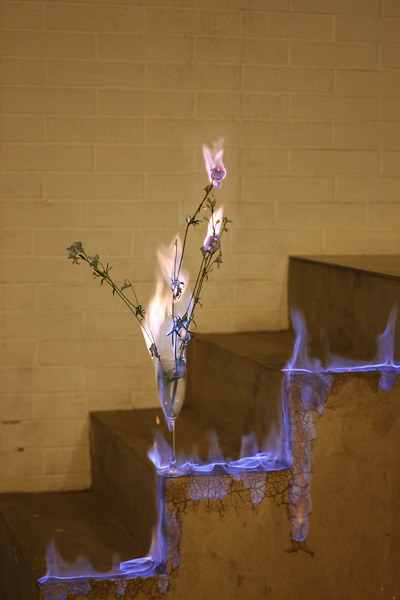 coldcatalyst89:  asylum-art-2:   Beautiful Flowers Engulfed in Flames by 蒋志|Jiangzhi  “Beautiful things and objects themselves will ultimately disappear, but  the beauty itself will live on, as well as love. Perhaps this is what I  am trying to