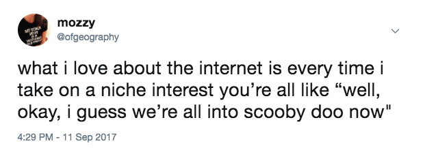 ofgeography:  my mentions right now are 100% people being like “goddamnit mollyhall”