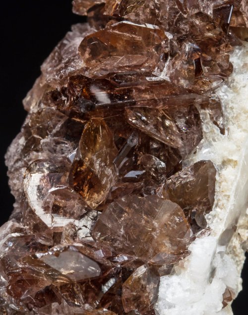Axinite-(Fe) with Albite - Nausherwani Mine, Char Kohan, Kharan, Kharan District, Pakistan