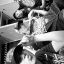 amesul