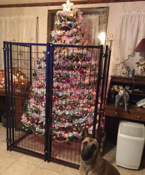 catsuggest:  pleatedjeans: 16 Pet-Proof Christmas Trees  is OPPRESSION of cat to not let celebrate chrismas by attack and kill chrismas tree !!! 😾 