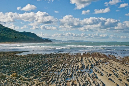 Turbidite beachThis spot is Whakataki beach on the southeast coast of New Zealand’s North Island, ab