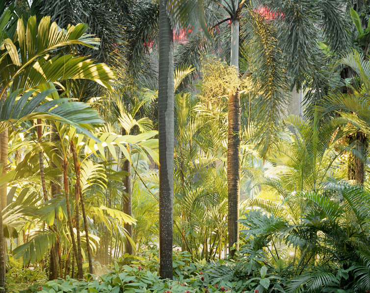 museumuesum:  Peter Bialobrzeski Paradise Now, 2009 C-Prints, 126 x 160 cm each