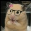hantaechan