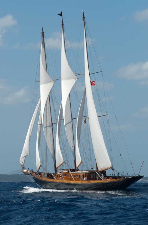 livesunique:Creole, Charles Nicholsons 1927 schooner