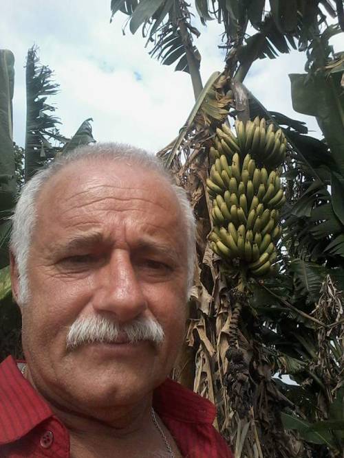wayra24:  Brasilero