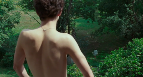 filmswithoutfaces:Call Me by Your Name (2017) dir. Luca Guadagnino