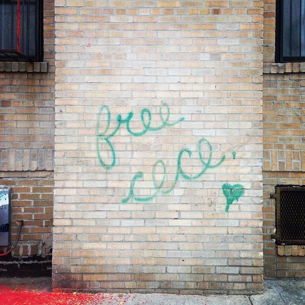 molassesinmyveins:   