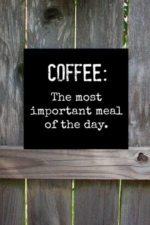 Your Coffee Guru