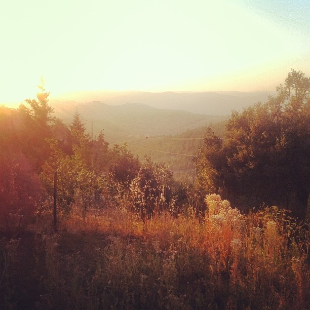 #shabbatshalom from #batayin #israel @chayac / on Instagram http://ift.tt/1xs5vqQ