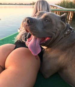 animalobsessions: 🐾 ~ “Yea you see that ass? I’m hitting that! And she loves my big ol’ tongue too!”