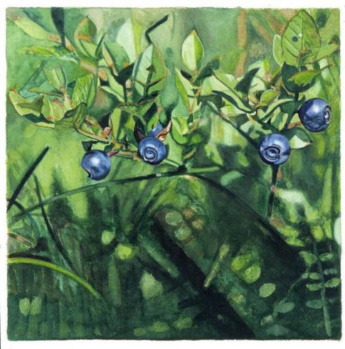 Blueberries  -   Karin Kneffel, 2007.German,b.1957-Acrylic and watercolor on canvas ,