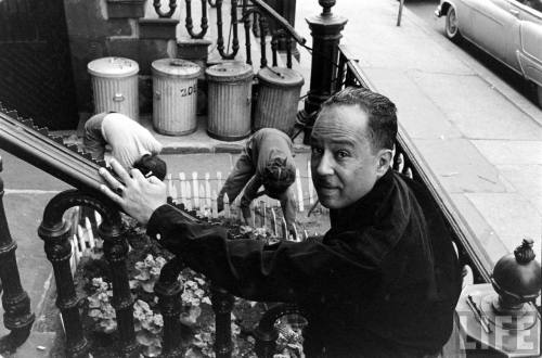 Langston Hughes(Robert W. Kelley. 1958)