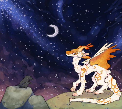 Looking At The Stars