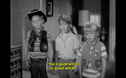 tallulahdreaming:  Agnes Moorehead as Endora in Bewitched.