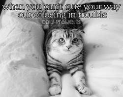 chastitychallenged:  ddlg-problems:  DDlg Problem #48: When you can’t cute your way out of being in trouble.   I never get in trouble. :)