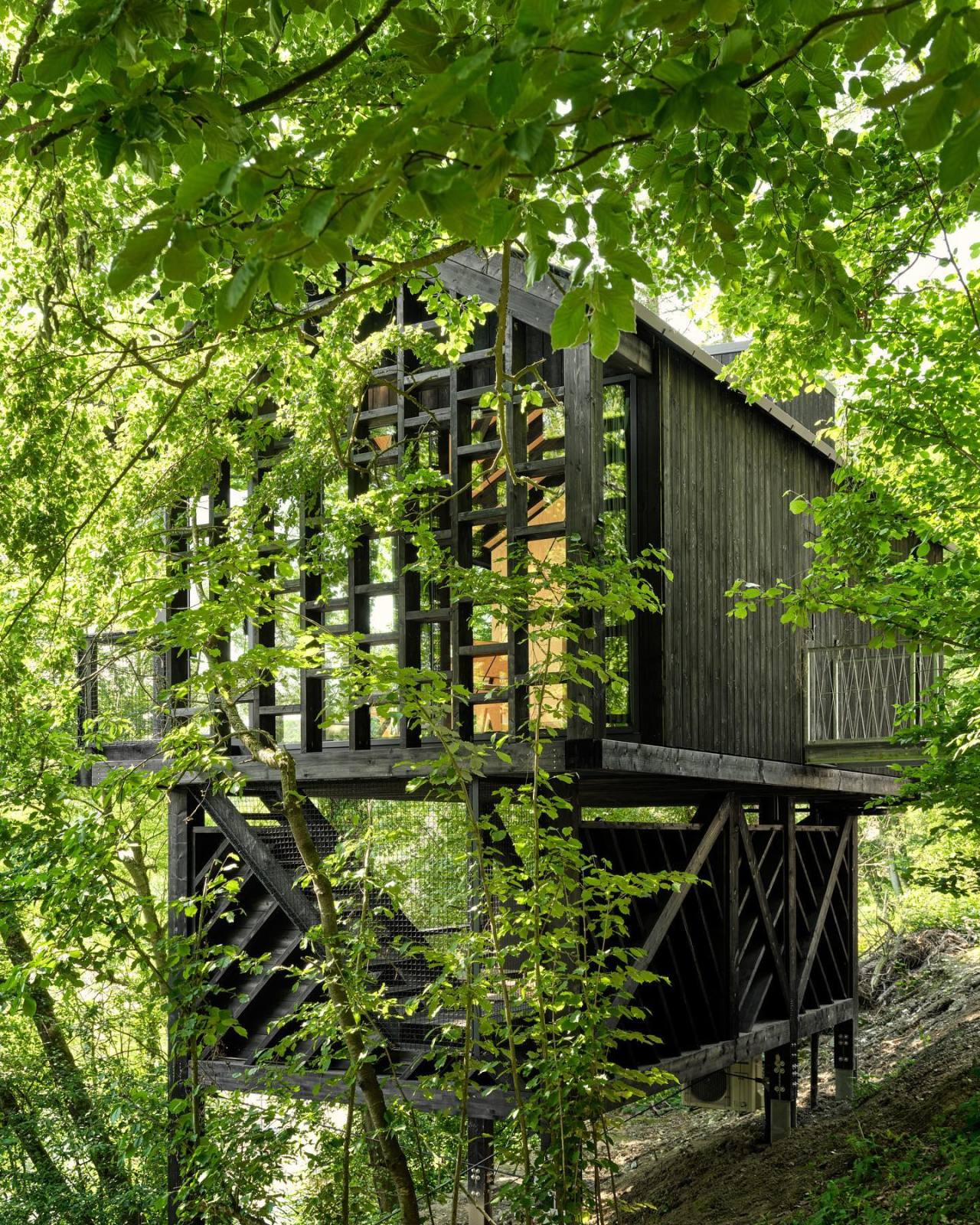 ‘Eagle’ - one of the newly opened cabins by @Hutstuf in La Roche-en-Ardenne, Belgium. Designed by architects and entrepreneurs Toon De Keyser and Francis Belaen. Photographed by @dietervancaneghem More photos on @cabinporn.