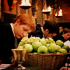 hildydoo:thetallawkwardginger:songbard5683:fiestyhysteria:The child actors in Harry Potter would do 
