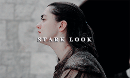Arya Stark And Aegon V Targaryen || Parallels {requested By @bonniexstyle}