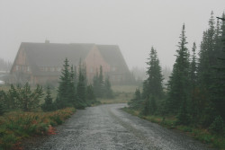 lefthandednonsense:  mbacani:  The highest part of Mt. Rainier accessible to cars is Sunrise Point. It was damp and lonely there. On a fine day it’s a majestic view, which I’ve now accepted that I have missed. On a gloomy day, well…it’s a sea