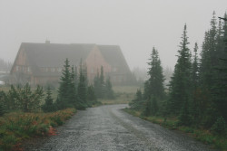 Aznpussy:  Mbacani:  The Highest Part Of Mt. Rainier Accessible To Cars Is Sunrise