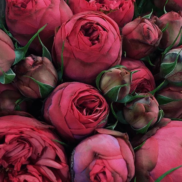 floralls:    by anna remarchuk    