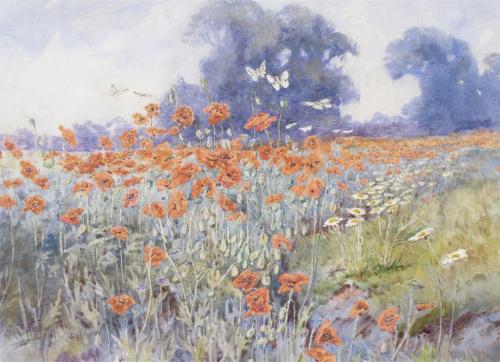 pintoras:Lilian Stannard (British, 1877 - 1944): Poppy field with butterflies (via Woolley &amp;