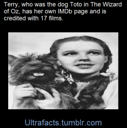 ultrafacts:  Terry was also paid a salary