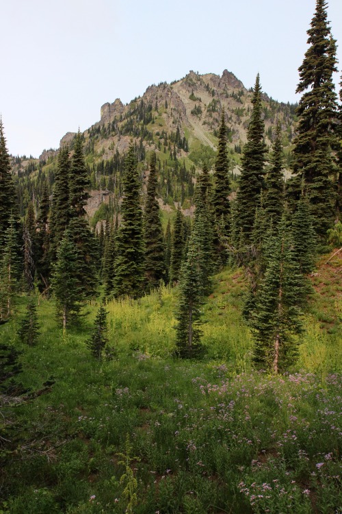 burningmine:Sheep Lake to Sourdough Gap Trail, August 2018