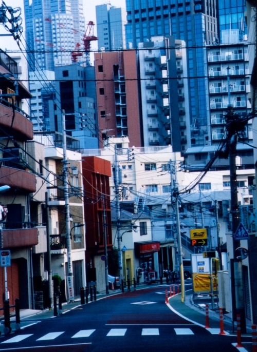 nock-nock-nock:  日南 響子