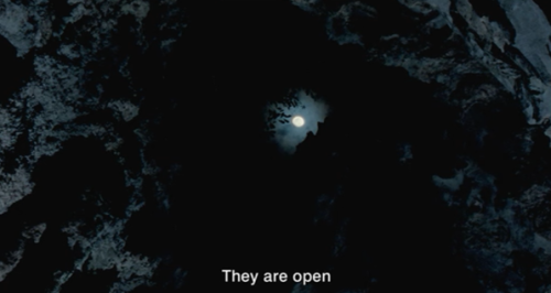 filmcat:Uncle Boonmee Who Can Recall His Past Lives (2010) Dir. Apichatpong Weerasethakul