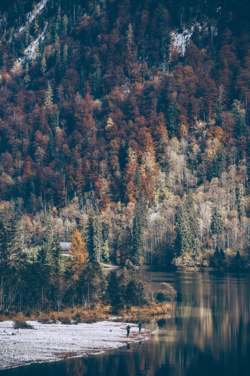 cdkphotography:Autumn vibes ( Photography by C.D.K )