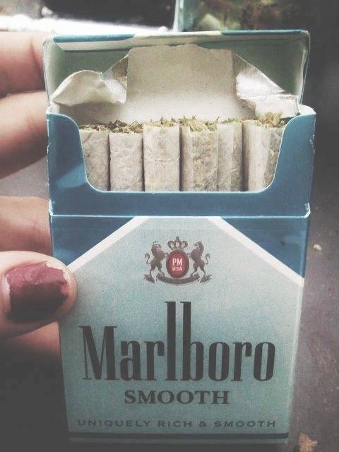 smoked-yourself-retarded:  Smoking Blog 