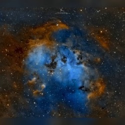 The Tadpoles of IC 410 #nasa #apod #emissionnebula #ic410 #gas #dust #tadpoles #ngc1893 #starcluster #interstellar #cloud #stars #milkyway #galaxy #space #science #astronomy