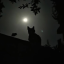 raccoon-ina-dumpster