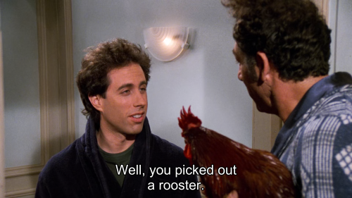 hayscodeviolation:  Seinfeld - 8x11 “The Little Jerry”