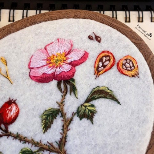 sosuperawesome:Botanical Embroidery Hoop ArtRaccoonique on EtsySee our #Etsy or #Embroidery tags