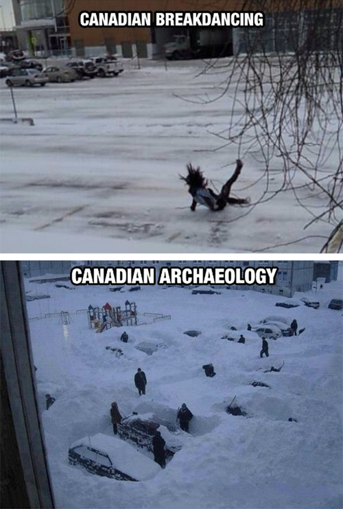 tastefullyoffensive:  Only in Canada [imgur]Previously: Bears Doing Human Things 