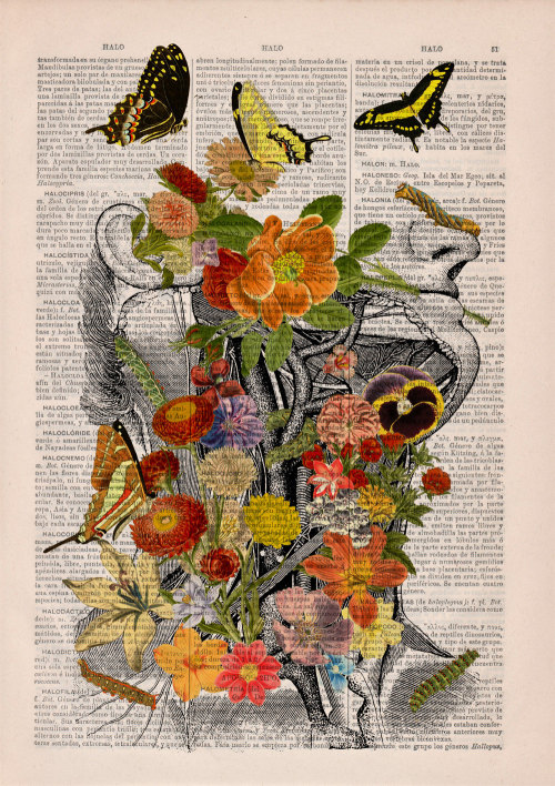 amythe3lder: culturenlifestyle: Anatomical Collages on Vintage Dictionary Paper Spanish shop PRRINT 