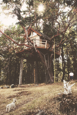 alicesadventuresintherye:  alicesadventuresintherye:  Forever obsessed with tree houses.  Still forever obsessed with tree houses. 