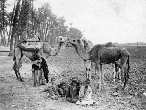 Family Of Bedouins, Egypt, 1916
